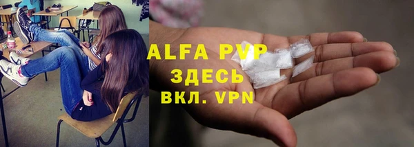 прущие крисы Гусев