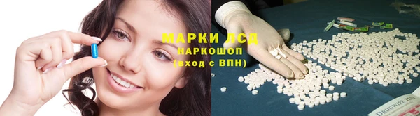 хмурый Гусь-Хрустальный