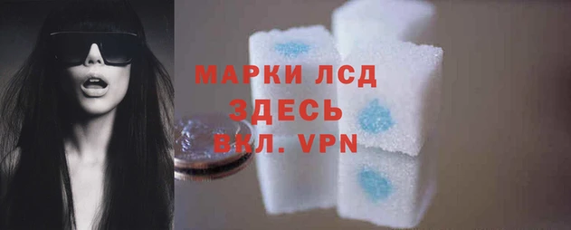 тгк Горняк