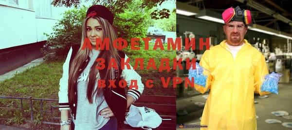 хмурый Гусь-Хрустальный