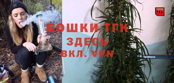 тгк Горняк