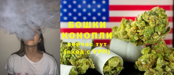 хмурый Гусь-Хрустальный
