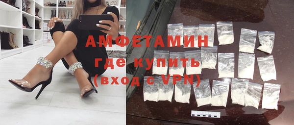 хмурый Гусь-Хрустальный