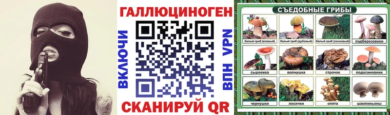 площадка как зайти хочу Остров Псилоцибиновые грибы GOLDEN TEACHER